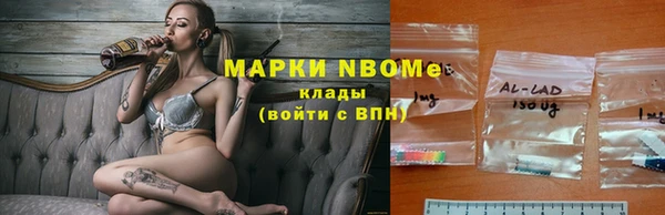 соль ск Зеленодольск
