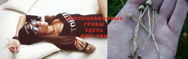 таблы Зерноград