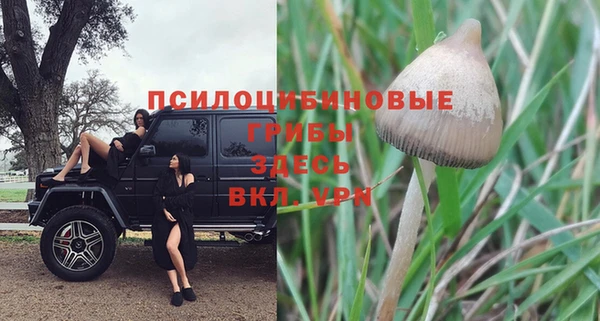 наркотики Зеленокумск