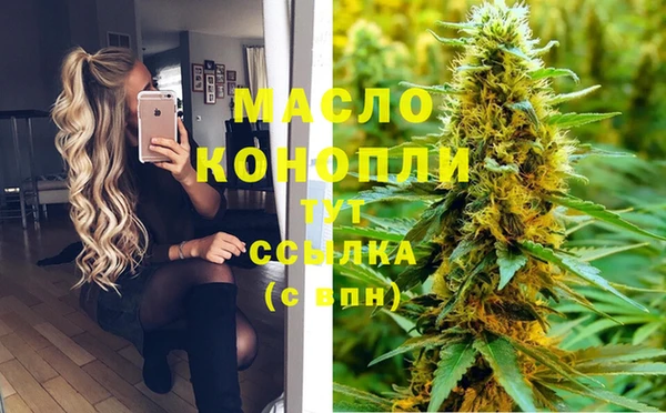 соль ск Зеленодольск