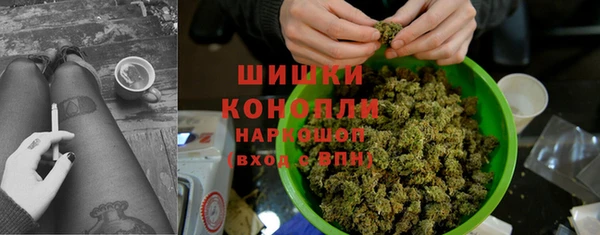соль ск Зеленодольск